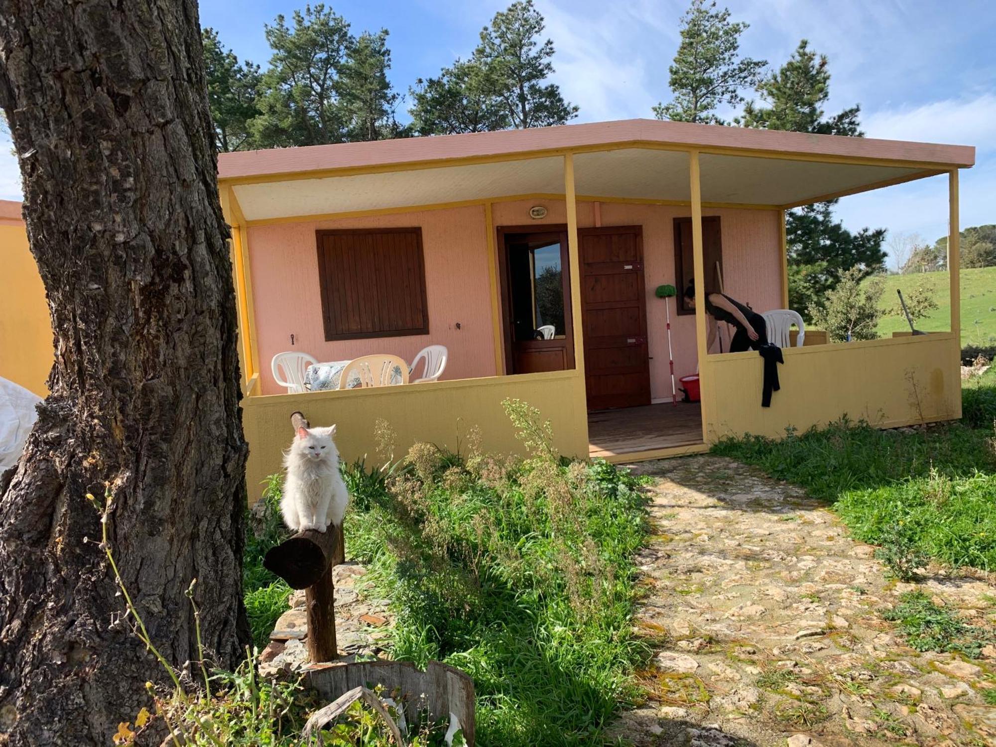 B&B Helga'S Agricampeggio Seùlo Екстериор снимка